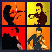 Solo Players String Quartet 1074903 Image 1